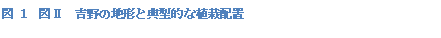 Text Box: 図 2　図Ⅱ　吉野の地形と典型的な植栽配置