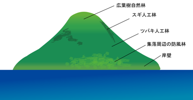 図２．北から見た植生イメージ