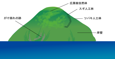 図３．南から見た植生イメージ